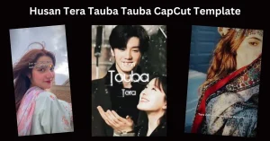 Husan Tera Tauba Tauba CapCut Template 6 Husan Tera Tauba Tauba CapCut Template