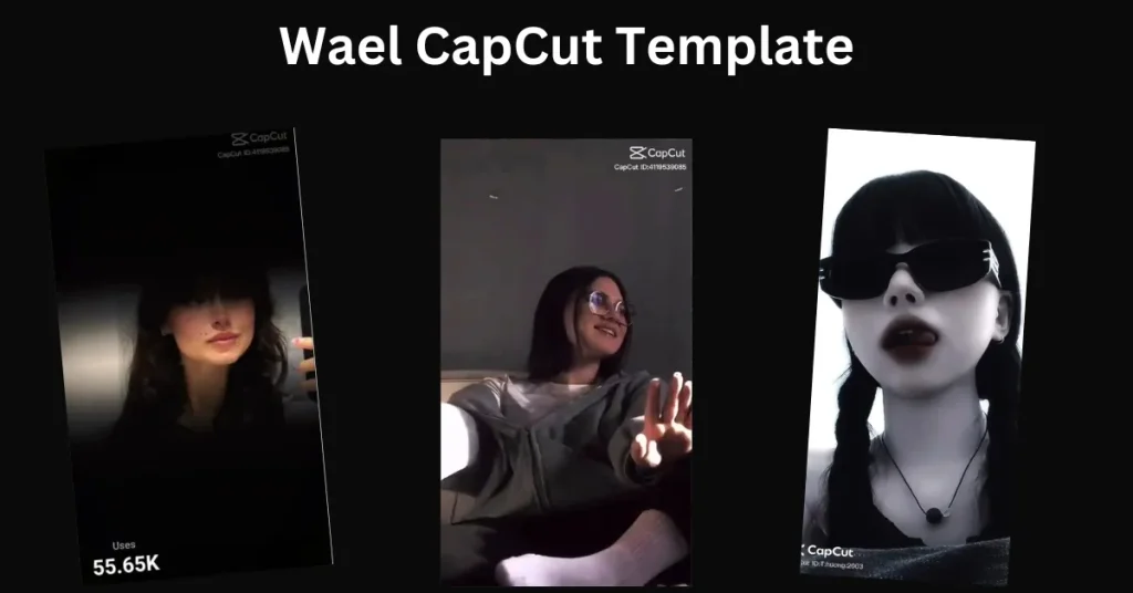 Wael CapCut Template