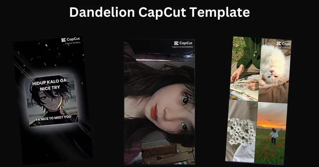 Dandelion CapCut Template