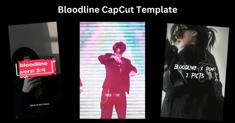 Bloodline CapCut Template